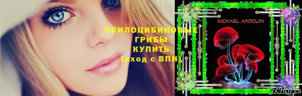 бошки Белоозёрский