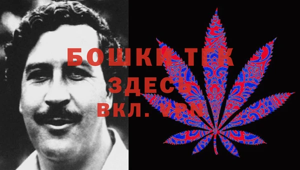 2c-b Белокуриха