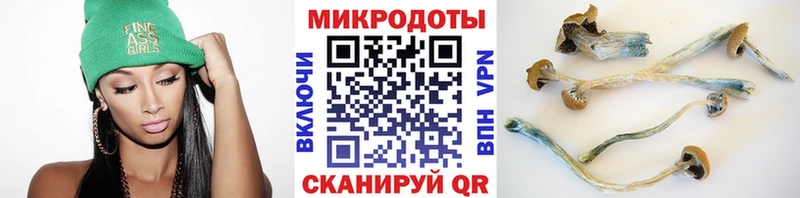 блэк спрут как зайти  купить наркоту  Оха  Псилоцибиновые грибы мицелий 